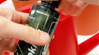 خرید بهترین مناسب کود مورد نیاز مخصوص و قلمه راهکارهای سریع افزایش مهم رشد ترفند دوبرابر کردن پاجوش گیاهان زاموفیلیا سانسوریا