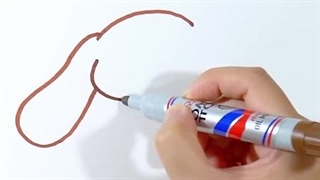 نقاشی سینامورول