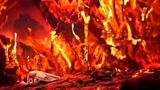 هائوچن و سائر کپ