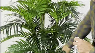 درختچه مصنوعی نخل کنتیا ۱.۹ متری با کیفیت لمسی 