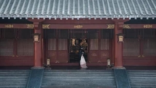 سریال چینی در بند زیبایی The Prisoner of Beauty 2025 قسمت 28 زیرنویس چسبیده (کیفیت بالاتر توضیحات )