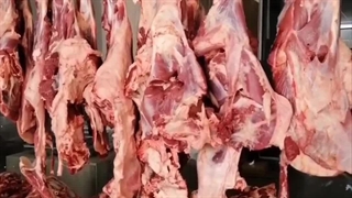 گزارش تصویری قربانی ویژه عید قربان ۱۴۰۴/۰۳/۱۶