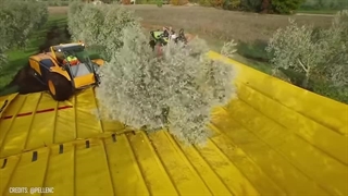 خط تولید و فرایند کارخانه ای فوق العاده رضایت بخش است.