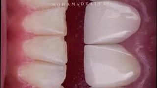 دکتر محمد طالبی