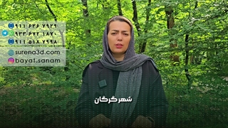 طراحی سایت در ایوان