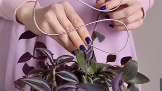 آموزش ساخت قیم گل بدون خزه