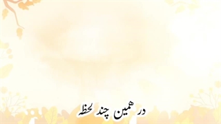 در همین چند لحظه