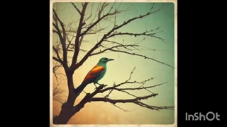 شاهنامه موزیکال #فیلم_موزیکال_پادشاهی_شاهپور_سوم