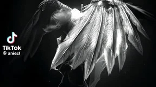 بچها اینترنت به فنا رفته... با بدبختی تونستم بیام ㅠㅠ کپ-