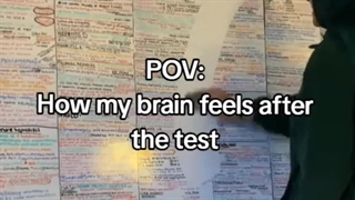 من بعد از هر امتحان :