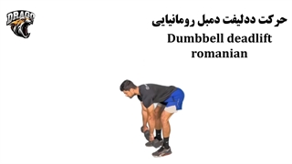 آموزش ددلیفت دمبل رومانیایی | تکنیک صحیح و نکات حرفه‌ای