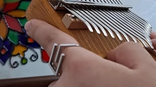 کالیمبا نوازی تلخم همچو شراب