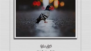 غزل سارا - شعر و اجرا: محمد حسین بهرامیان