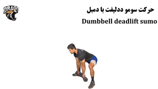 آموزش حرکت سومو ددلیفت با دمبل | فرم صحیح، فواید و نکات مهم