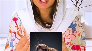 دستگاه دفع حشرات چیست و چگونه بهترین مدل را انتخاب کنیم؟