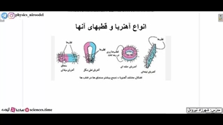 خاصیّت مغناطیسی و میدان مغناطیسی
