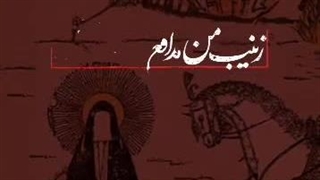 استوری_امان از دل زینب (س)