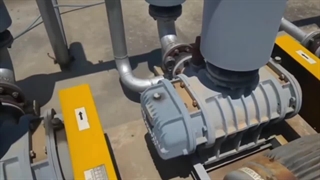 روتس بلوئر لانگ تک