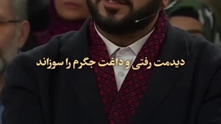 دیدمت رفتی و داغت جگرم را سوزاند...