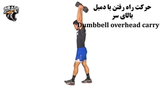 حرکت راه رفتن با دمبل بالای سر | تمرینی فوق‌العاده برای شانه، کور و تعادل