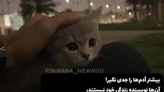 _جدی شون نگیر...