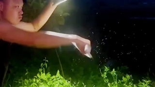 انواع حشره کش برقی