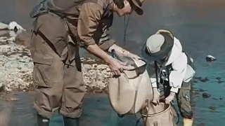 سینک کمپینگ نیچرهایک