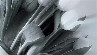 هقققق گریهههه چراا باید اسکیز تو همون کشوری باشن که داییام اونجان کپ