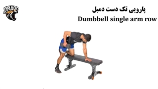آموزش پارویی تک دست با دمبل | فرم صحیح + نکات مربی گری