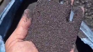 تولید زغال حبه ای 09125931997