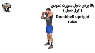 آموزش حرکت کول دمبل | نکات حرفه‌ای و اشتباهات رایج