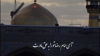 ❣️ آقا، قسم به حضرت زهرا(س)