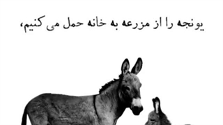 حکایت گوسفند مفت خور