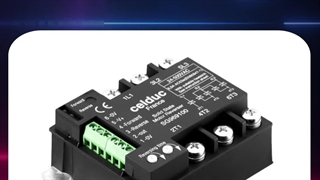 رله چپ گرد راست گرد سه فاز سلدوک