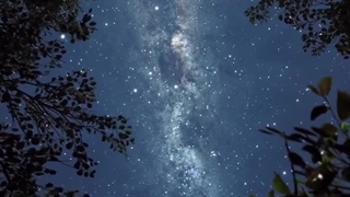 فصل دوم رمان THE EDICTION (اعتیاد) پارت دوم