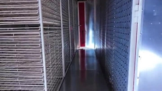 ۵ ویژگی منحصر به‌ فرد خشک‌ کن‌ های تونلی اسوه صنعت