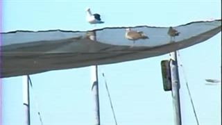 Ahmad Azad & Parvaneh - Karoon احمد آزاد ـ کارون