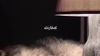 حدیث کوردی