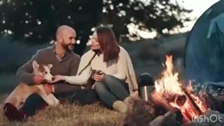 رفلکس، دوست خوشمزه حیوانات خانگی