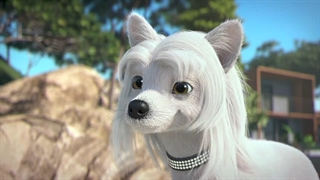 مایک قدرتمند