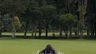 کاش درست باشه :)