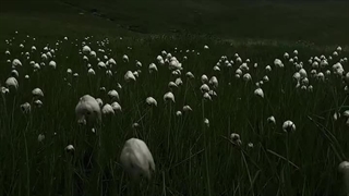 مردم ساده می‌گویند:..