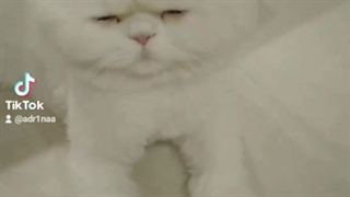 بچه ها بالاخره منو و لونا هم با این ریمیکس دابسمش گرفتیم( خوابش میاد ولی خیلی خرهههه)