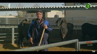 سریال بادار قسمت 3