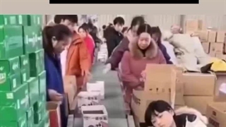 وضعیت کار زنان در چین و ژاپن ۲۰۲۵