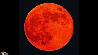 ولی من که نتونستم پیش همون ناصرم برم