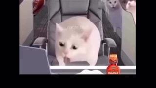 وای من از روز اول مدرسه تا اخرین روزش همینم فقط خخ