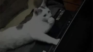 هعیی... من برم کالاف پلی بدم