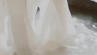 به به سیدرامای مهرماهی