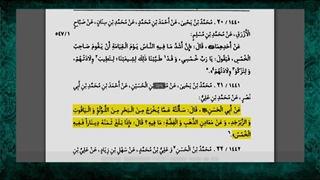 واجب بودن خمس ( حتی در معاددن و دریا (مروارید و...)